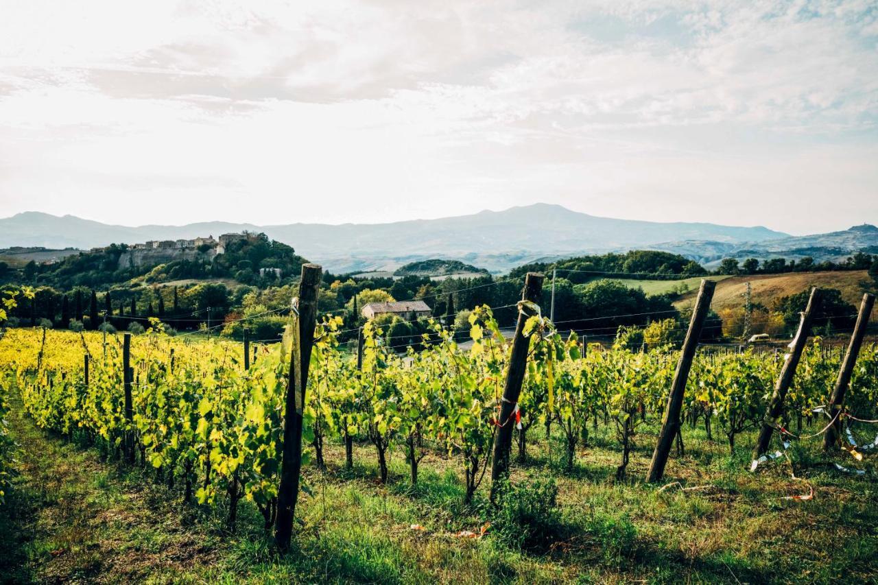 Podere Orto Wine Country House Trevinano Exterior photo