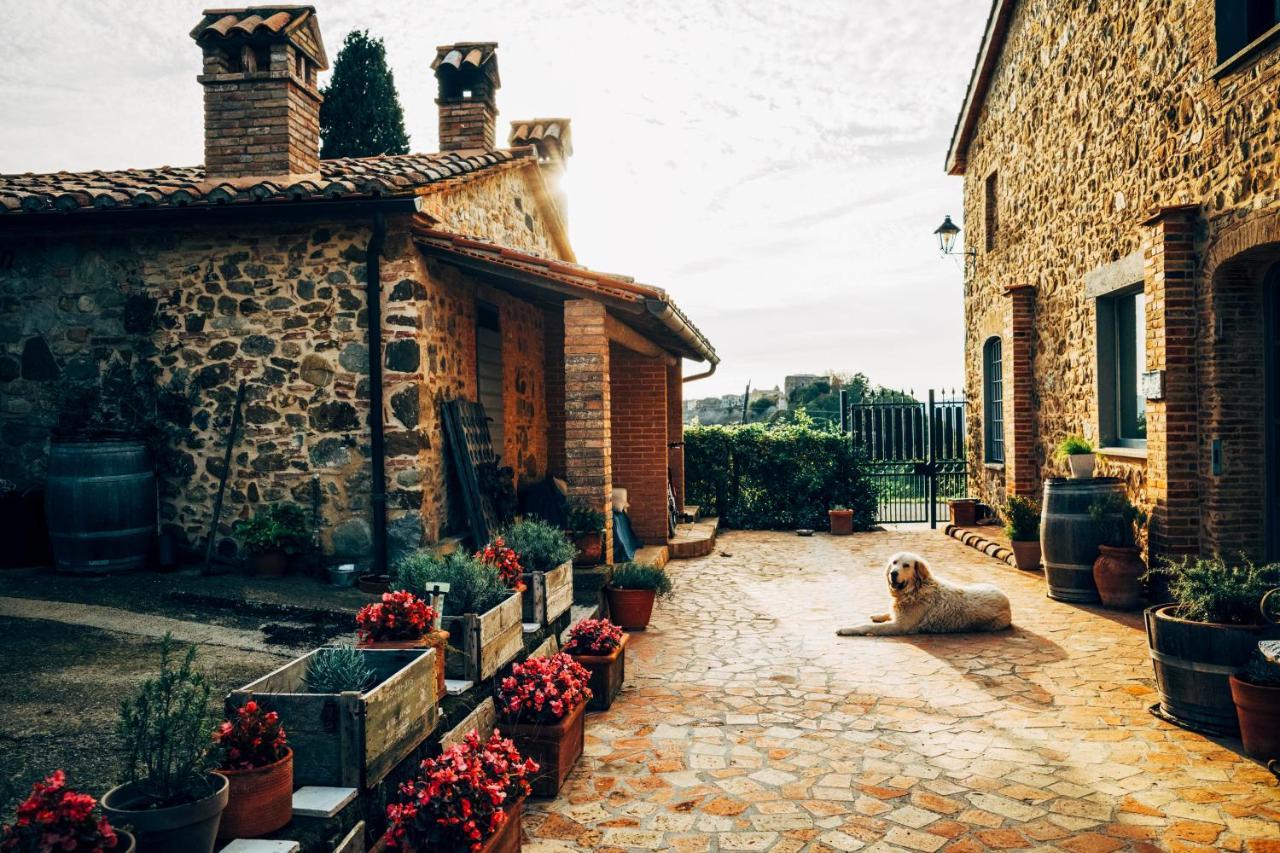 Podere Orto Wine Country House Trevinano Exterior photo