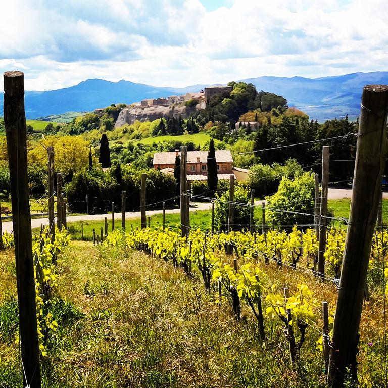 Podere Orto Wine Country House Trevinano Exterior photo
